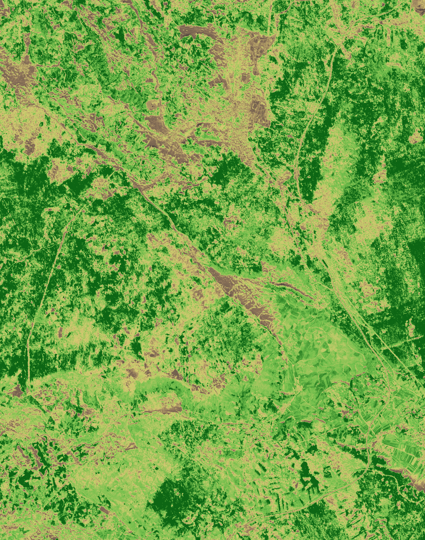 NDVI prikaz, 2022-01-25