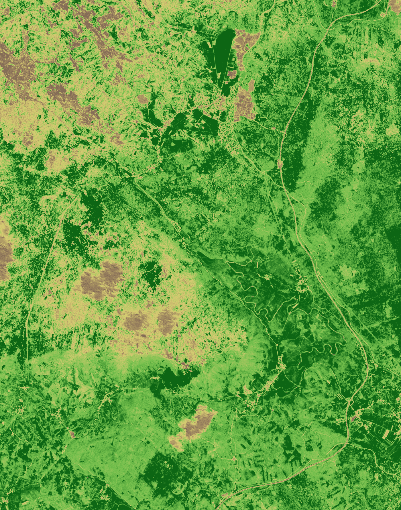 NDVI prikaz, 2024-03-25