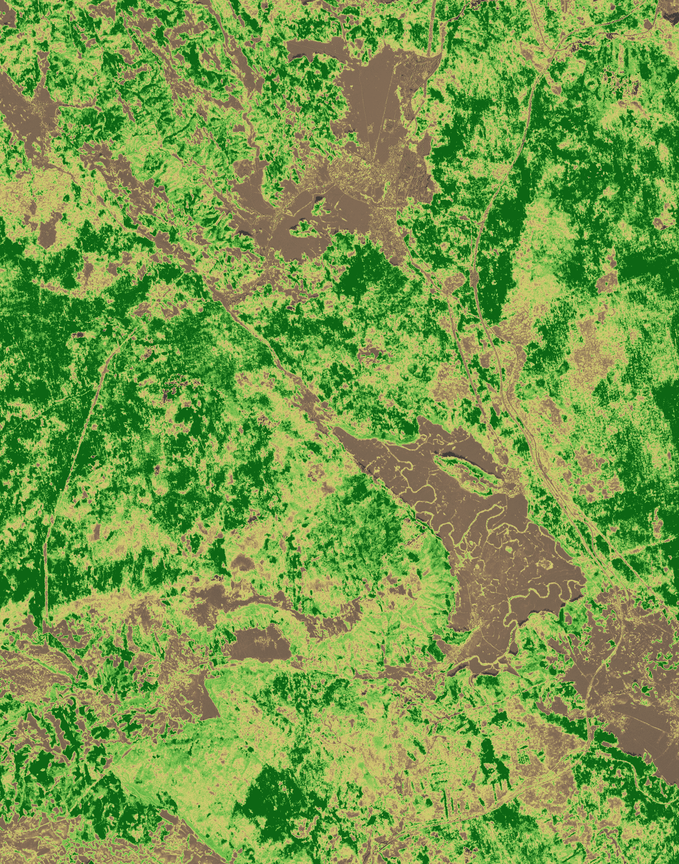 NDVI prikaz, 2024-12-30